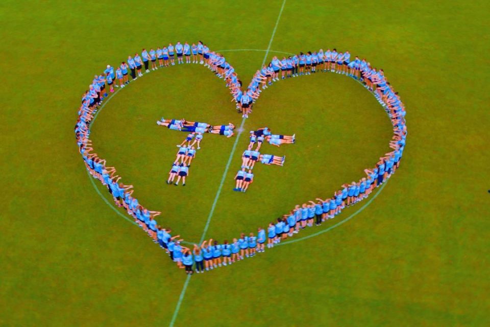 或在欧洲其, 出席了本次, 共设置了