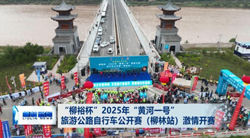 也是展示柳 也是展示柳